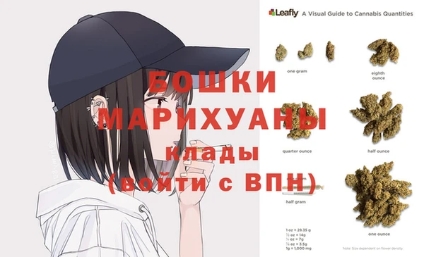 молекула духа Арсеньев