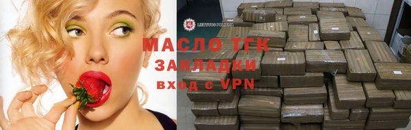 молекула духа Арсеньев