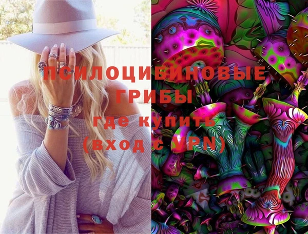 молекула духа Арсеньев