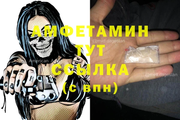 молекула духа Арсеньев