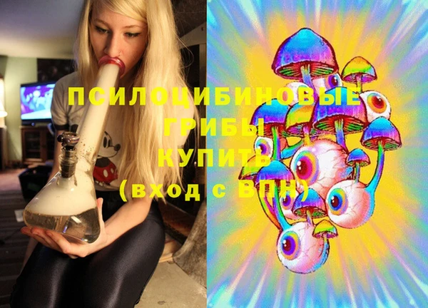 молекула духа Арсеньев