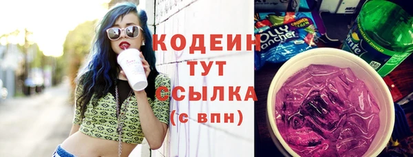 молекула духа Арсеньев