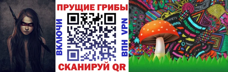 kraken ONION  где продают наркотики  Оса  Галлюциногенные грибы прущие грибы 